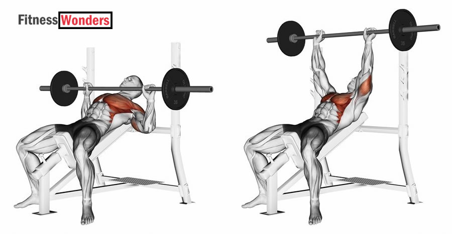 Best incline chest excercises