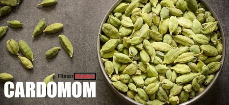 Cardamom Cardamom