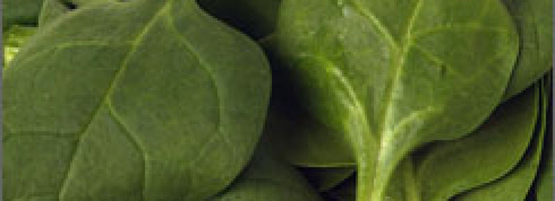 Spinach Spinach